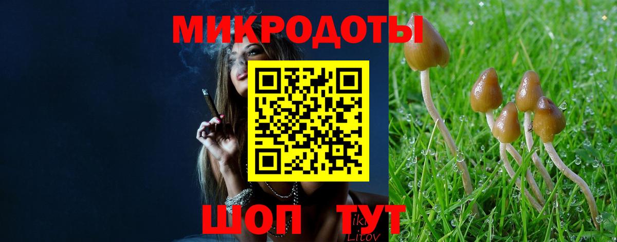 Галлюциногенные грибы мухоморы  Галлюциногенные грибы ЛСД  Вход с VPN  Зерноград 