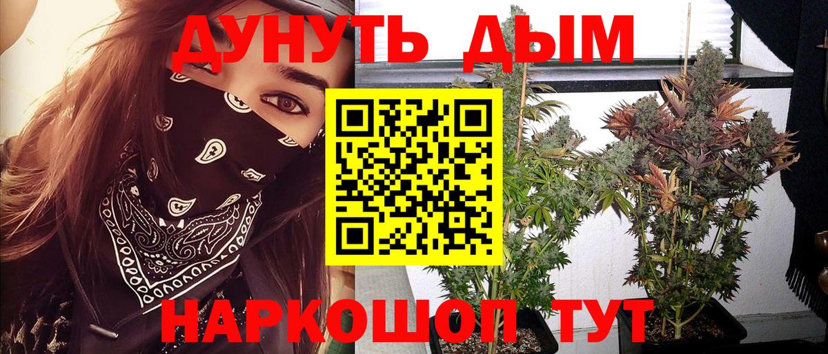 Конопля конопля  Канабис VHQ  Бошки марихуана VHQ  Зерноград  Вход с VPN 